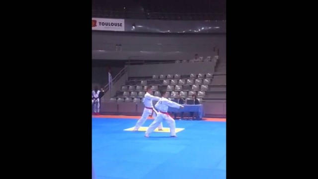 Championnat de france Poomsae 2014 Paire